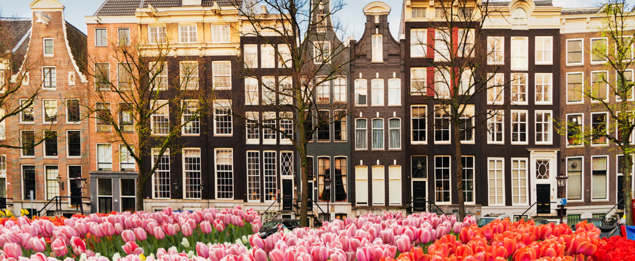 Primavera ad <strong>Amsterdam</strong>: alla scoperta della fioritura dei tulipani